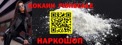 тгк Камышлов