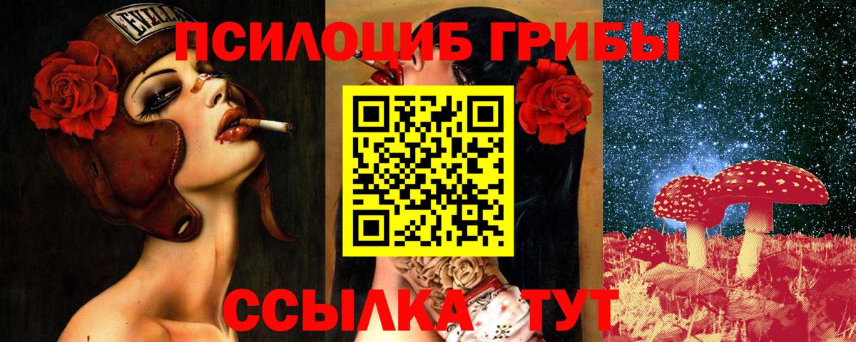 Галлюциногенные грибы GOLDEN TEACHER Магадан