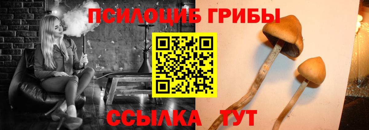 Магадан  продажа наркотиков  Галлюциногенные грибы мухоморы  Вход с VPN  Псилоцибиновые грибы MAGIC MUSHROOMS 